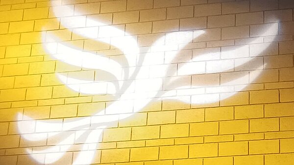 phone screen with Mail app icon